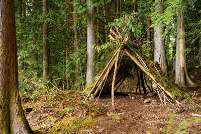 Bushcraft And Wilderness Activities (Survival Skills)